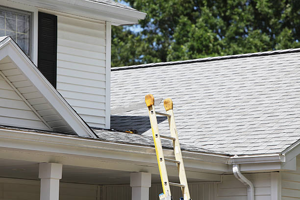 Best Property Management Cleanouts  in Sun City Center, FL